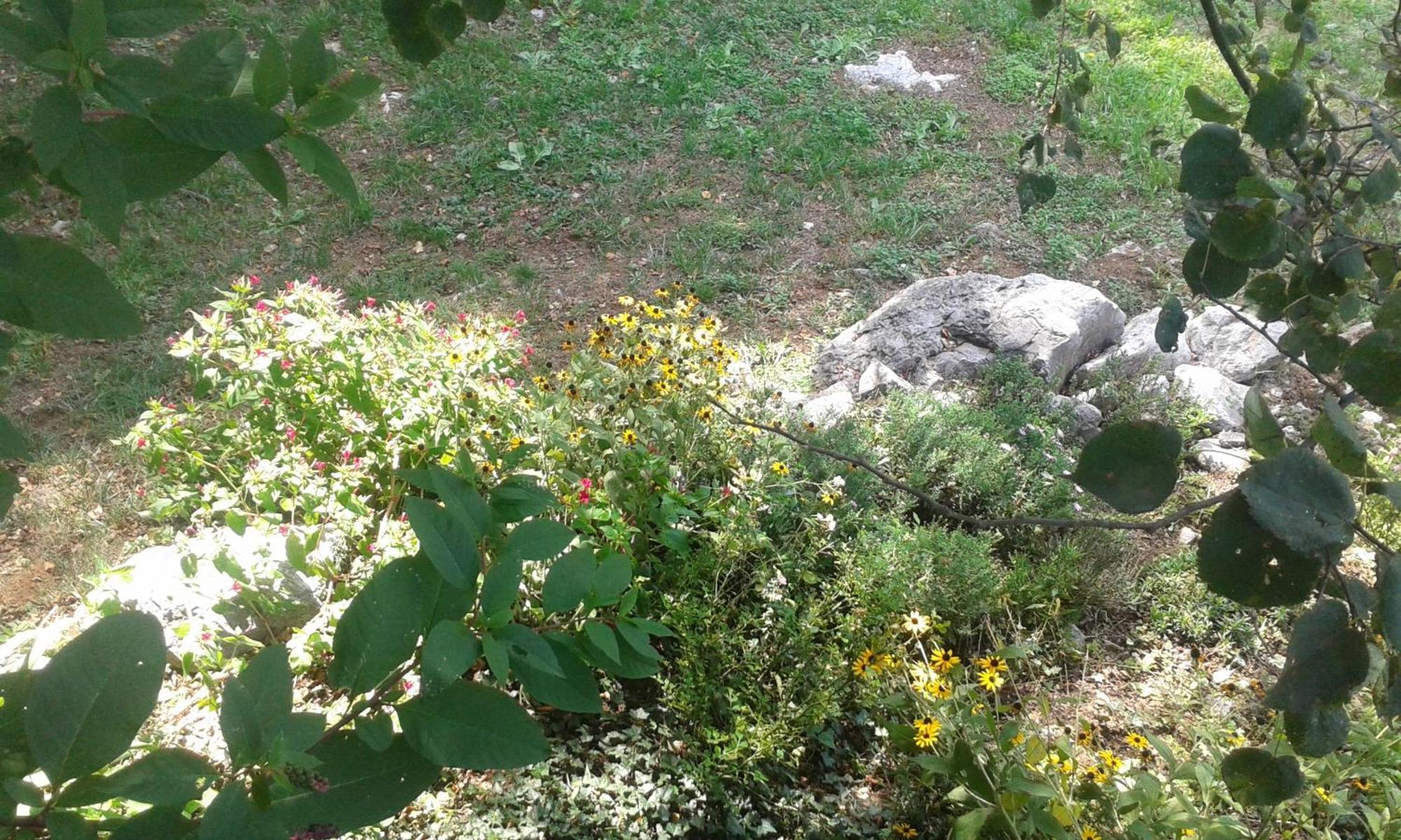 Guest House Rabenseifner - Opatija Jurdani Zewnętrze zdjęcie