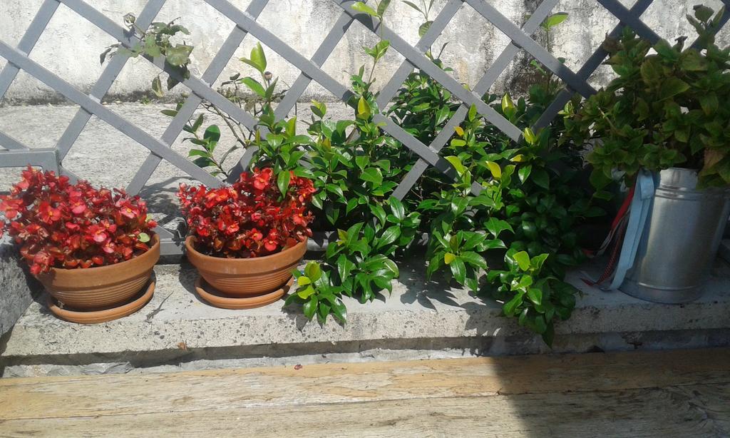Guest House Rabenseifner - Opatija Jurdani Zewnętrze zdjęcie